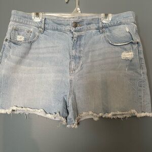 LOFT Blue Jean Shorts Distressed Raw Hem